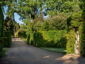 The Boboli Garden in Florence